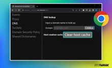 clear-chrome-net-internals-dns-Error